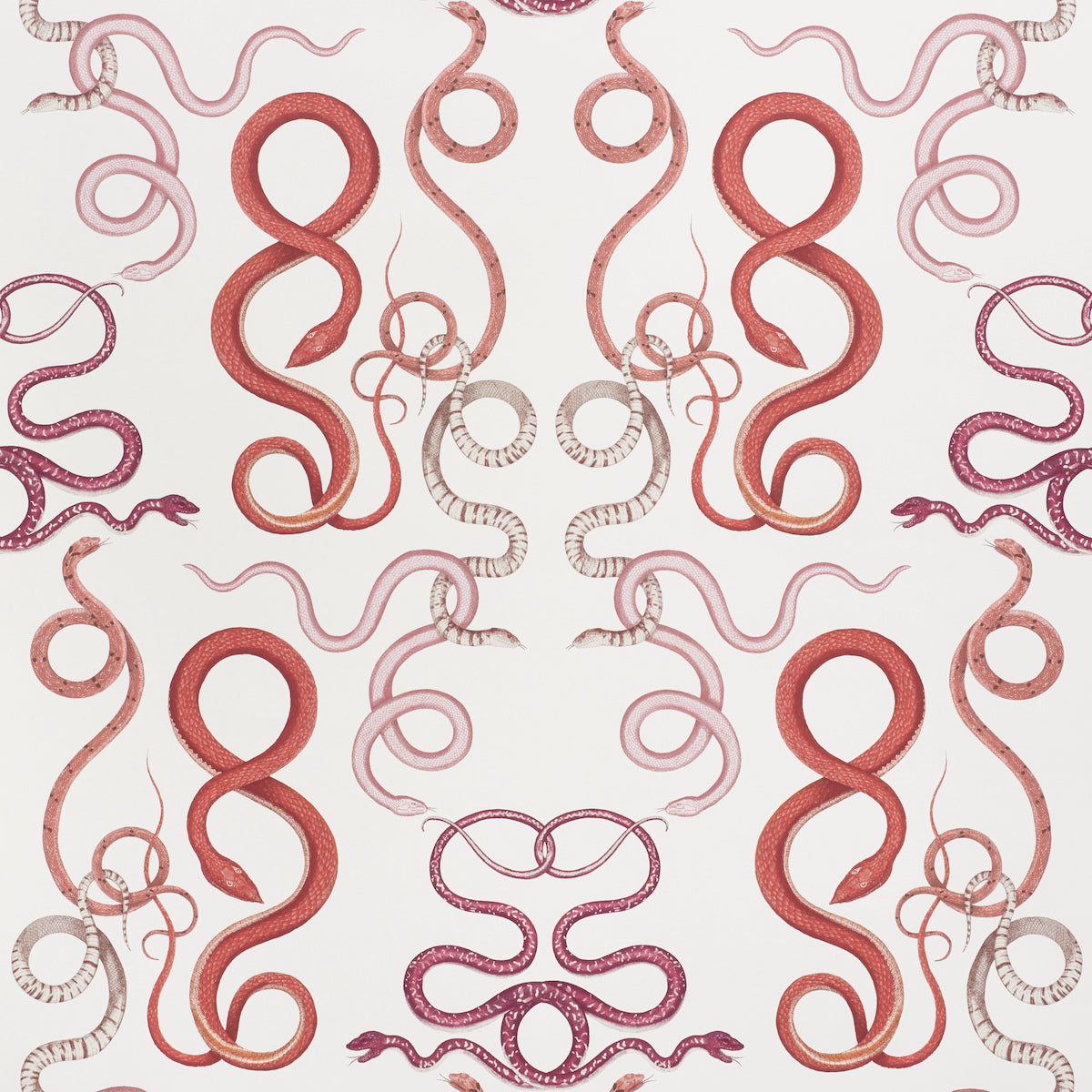 GIOVE-RUBY-GARNET-SCHUMACHER-5009461