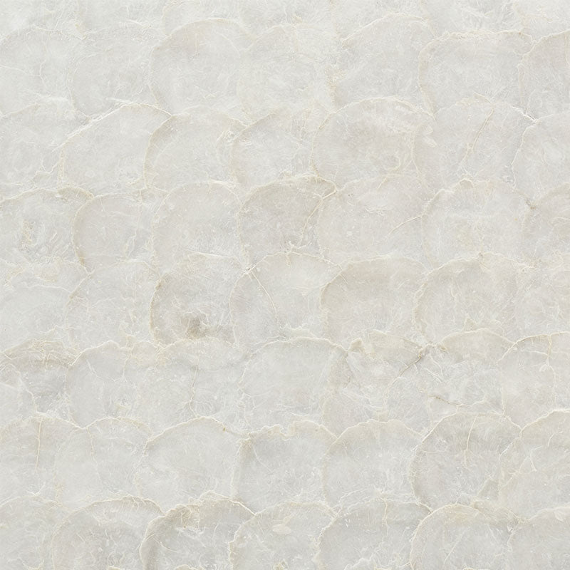 ABALONE-PEARL-SCHUMACHER-5009650