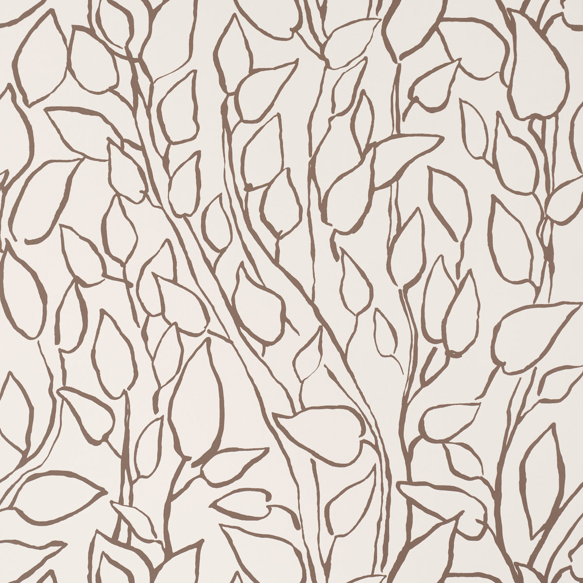 SOLANDRA-VINE-BROWN-SCHUMACHER-5010074