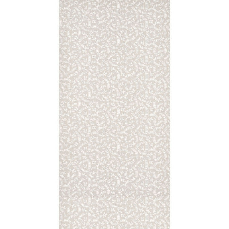 DELIA-DOVE-SCHUMACHER-5010350