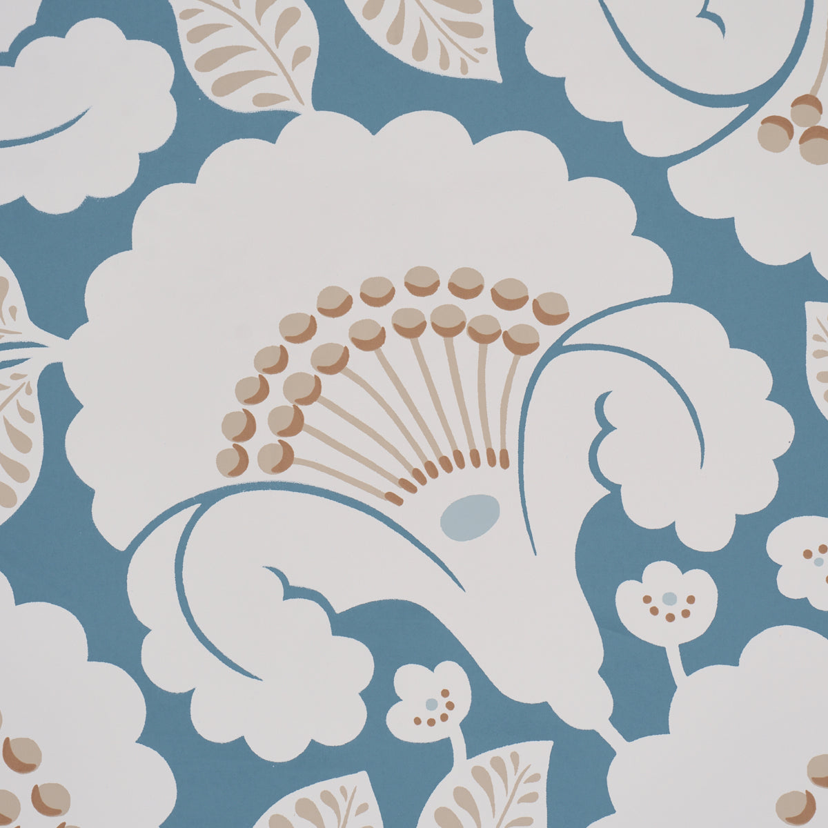 JACKIE-INDIGO-SCHUMACHER-5010374