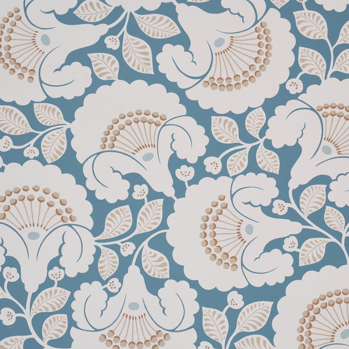 JACKIE-INDIGO-SCHUMACHER-5010374