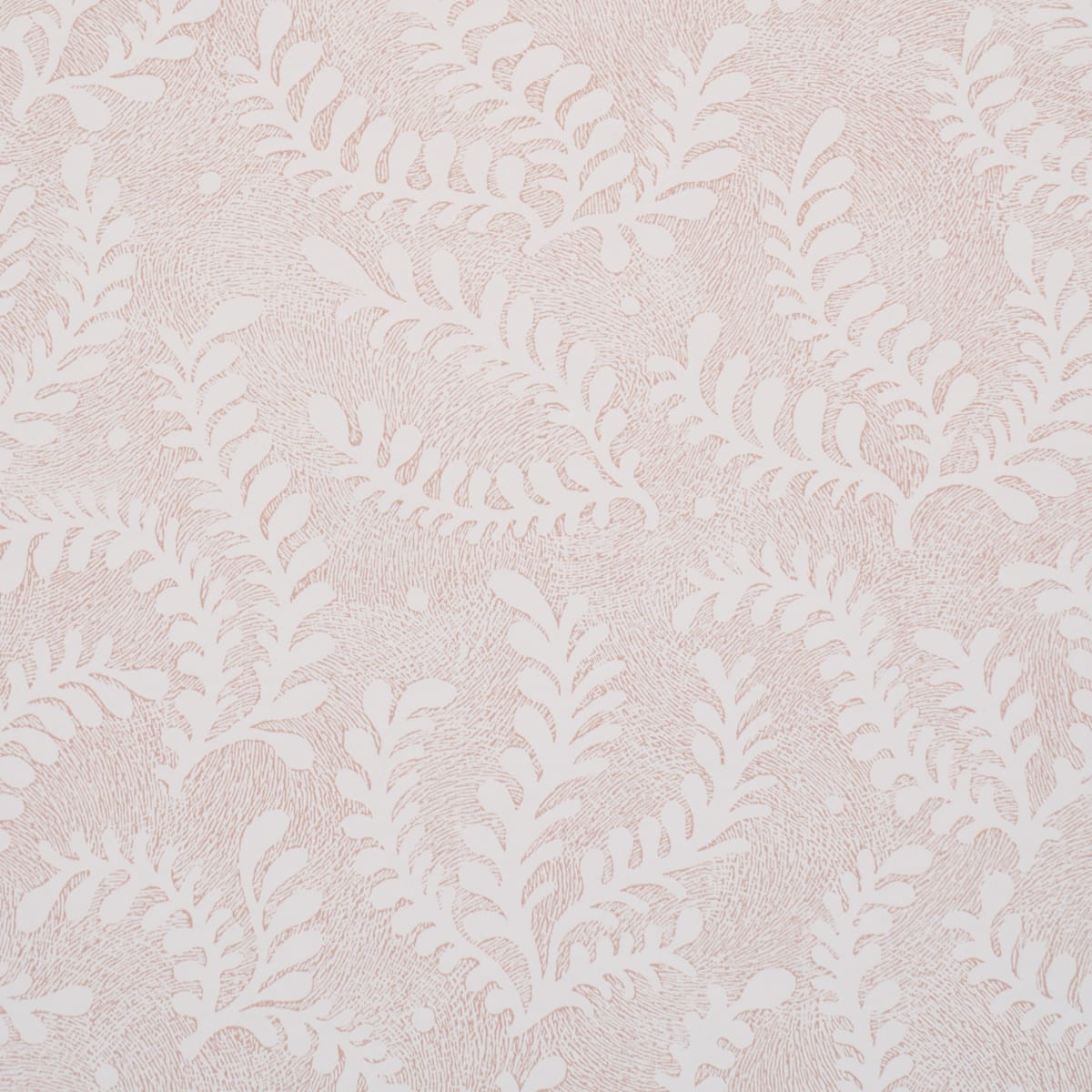 ETCHED-FERN-BLUSH-SCHUMACHER-5010384 - Schumacher Wallpaper