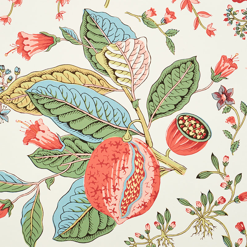 POMEGRANATE-BOTANICAL-DOCUMENT-SCHUMACHER-5010441