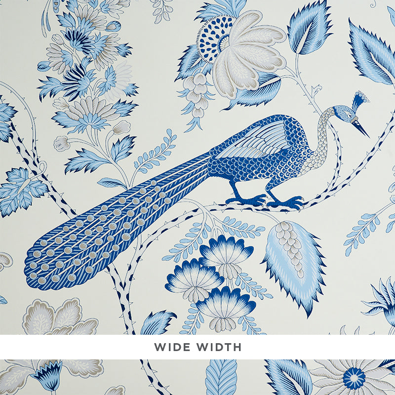 CAMPAGNE-BLEU-GRIS-SCHUMACHER-5010511