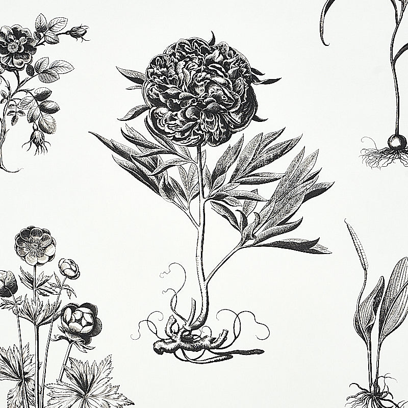 Cabot Botanical Large Ivory wallpaper by Schumacher, 5010640 — view 3 - Schumacher Wallpaper