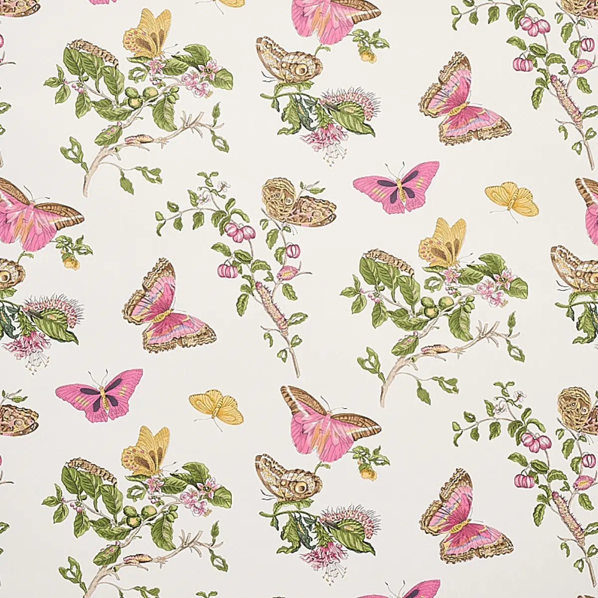 Baudin Butterfly - Blush - Schumacher 5010690 Wallcovering - Schumacher Wallpaper
