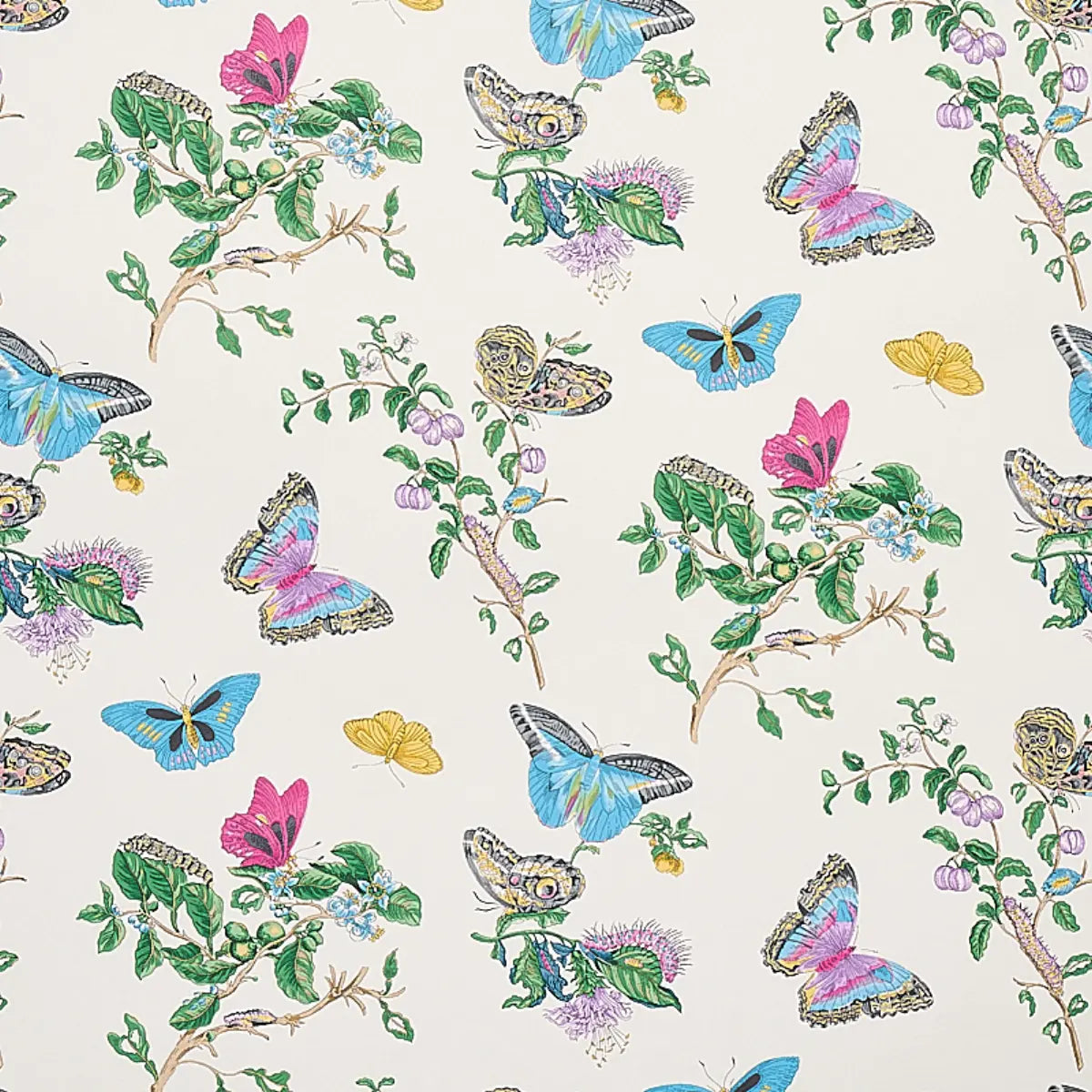 Baudin Butterfly - Turquoise - Schumacher 5010691 Wallcovering - Schumacher Wallpaper
