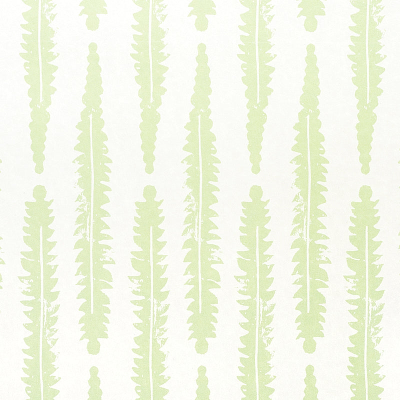 FERN-SAGE-SCHUMACHER-5011111
