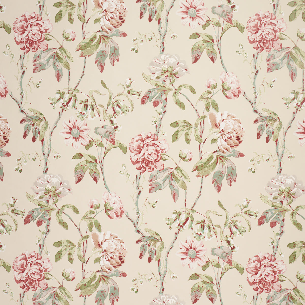 DAYDREAM-PINK-SCHUMACHER-5011404