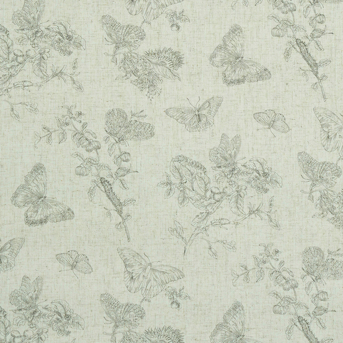 BAUDIN-BUTTERFLY-LINEN-BLACK-SCHUMACHER-5011830