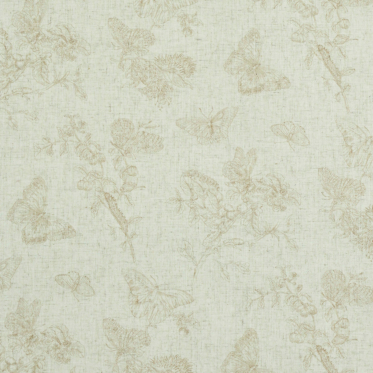 BAUDIN-BUTTERFLY-LINEN-NATURAL-SCHUMACHER-5011832