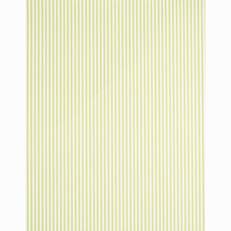 EDWIN-STRIPE-NARROW-CITRON-SCHUMACHER-5011868