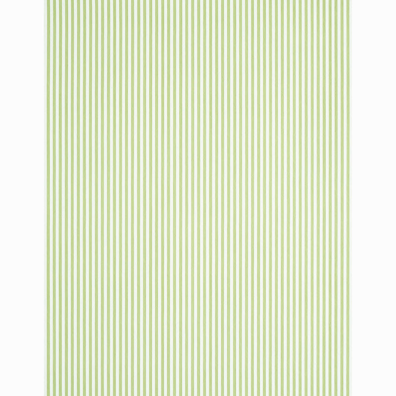 EDWIN-STRIPE-NARROW-LEAF-SCHUMACHER-5011869