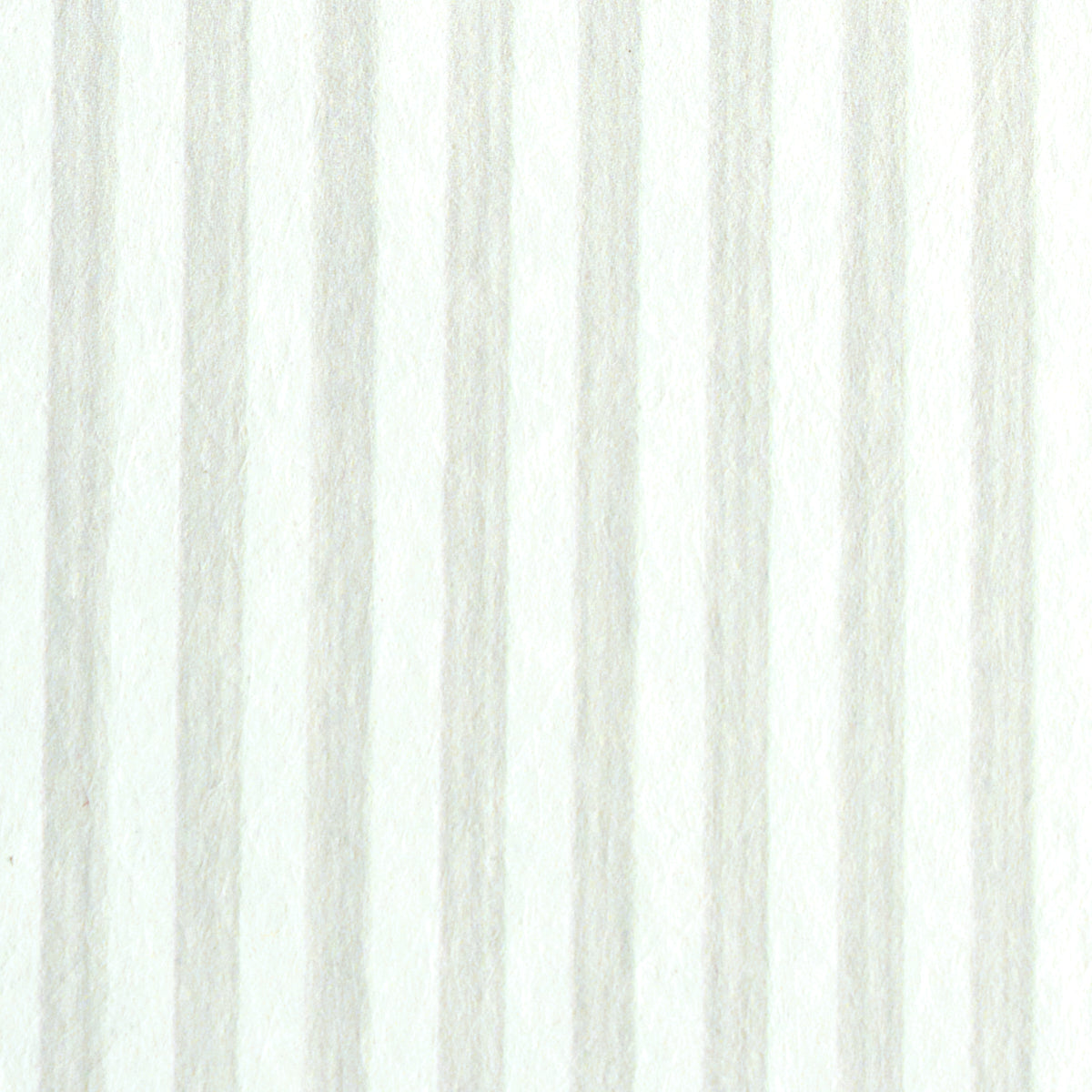 EDWIN-STRIPE-NARROW-BIRCH-SCHUMACHER-5011876