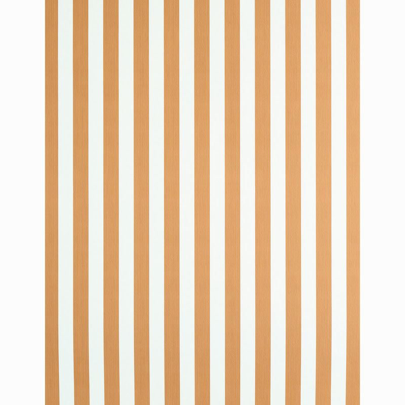 EDWIN-STRIPE-MEDIUM-BUTTERNUT-SCHUMACHER-5011893