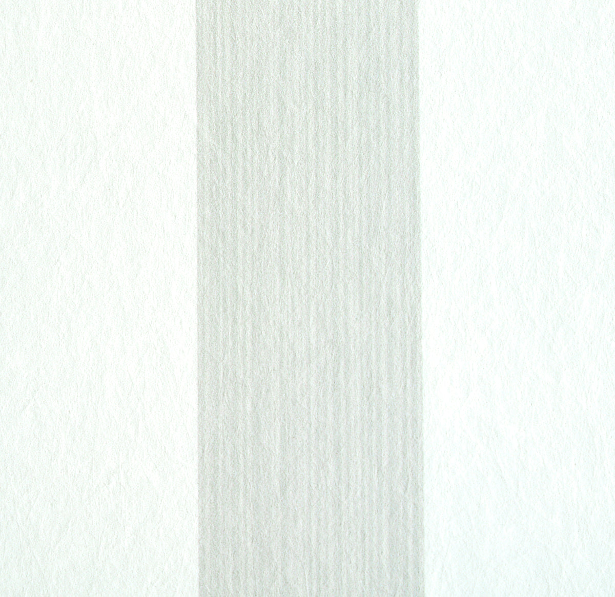EDWIN-STRIPE-MEDIUM-BIRCH-SCHUMACHER-5011896