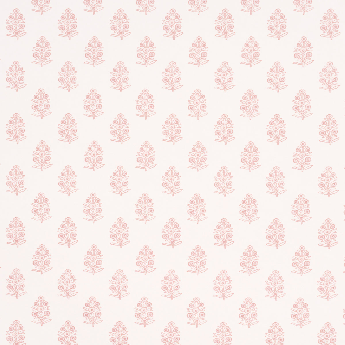 ADITI-BLUSH-SCHUMACHER-5011935
