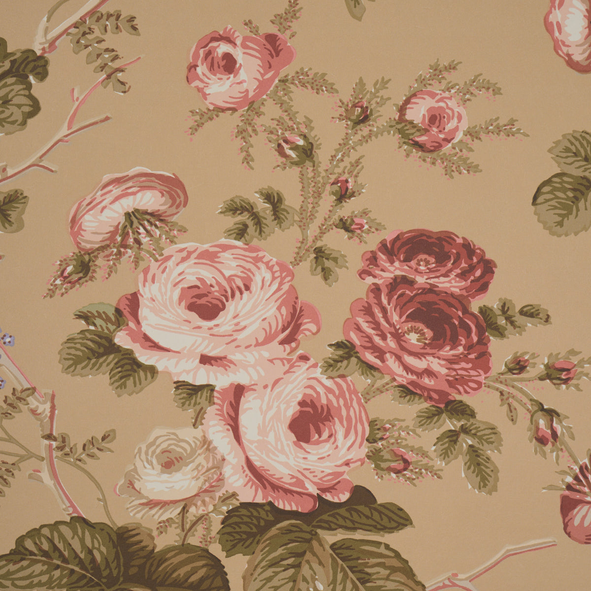 Salisbury - Tobacco - Schumacher 5012064 Wallpaper - Schumacher Wallpaper