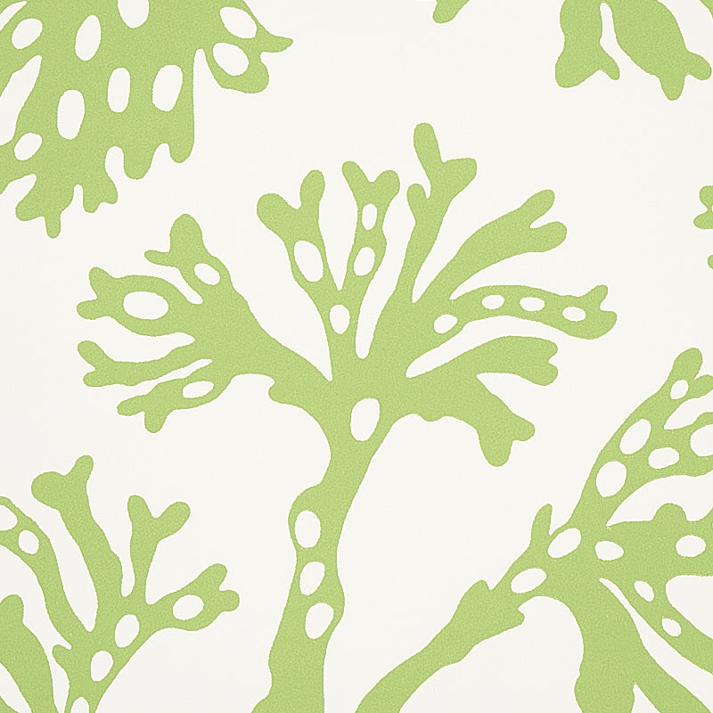 Anthoza Green wallpaper by Schumacher, 5012131 — view 4 - Schumacher Wallpaper