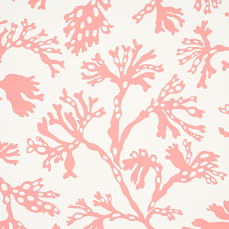 Anthoza Coral wallpaper by Schumacher, 5012132 — view 3 - Schumacher Wallpaper