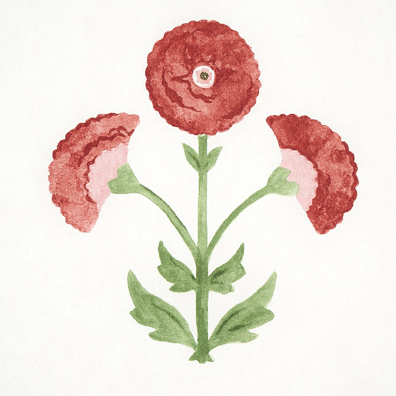 SARANDA-FLOWER-CARDINAL-SCHUMACHER-5012410