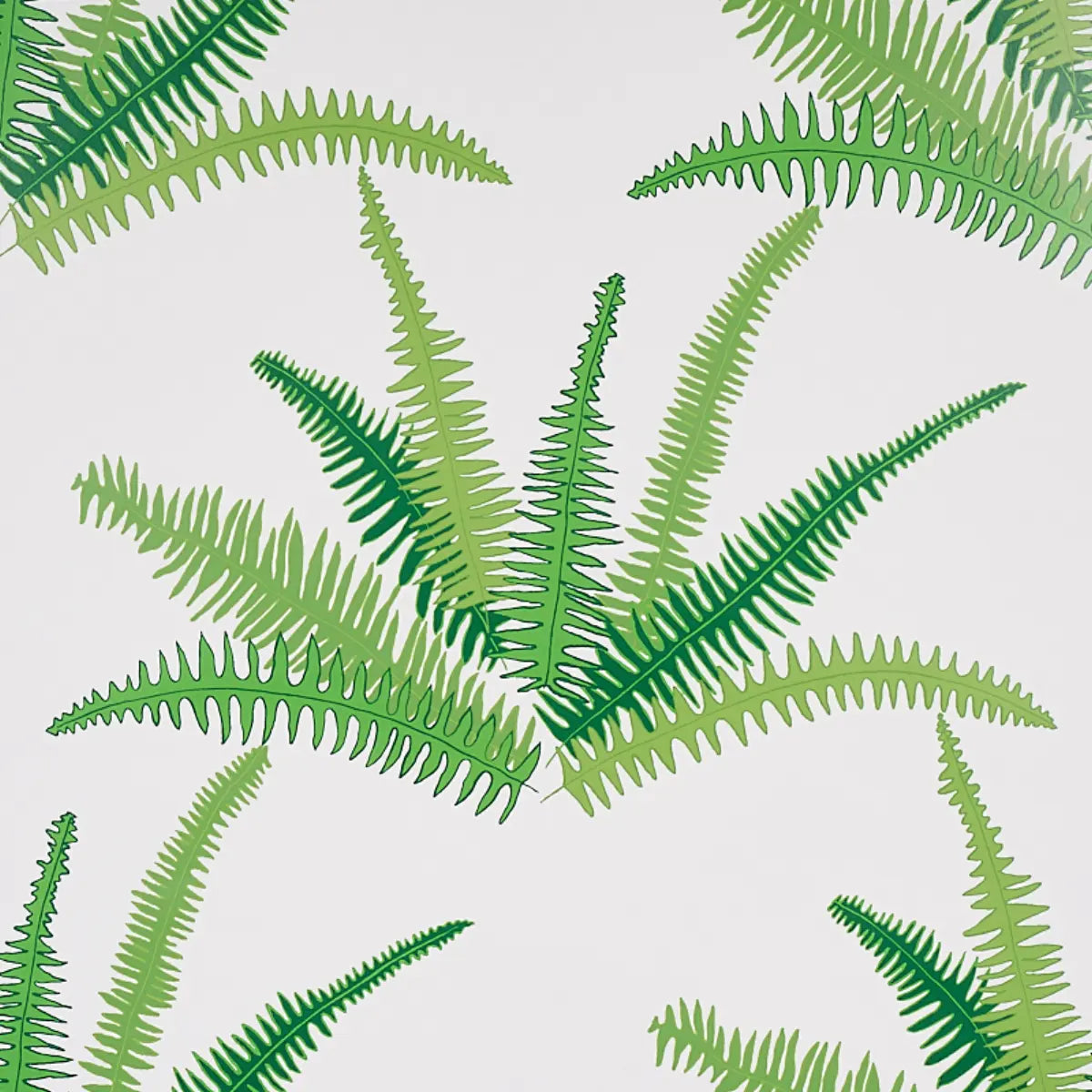 Canyon Ferns - Jungle - Schumacher 5012621 Wallcovering