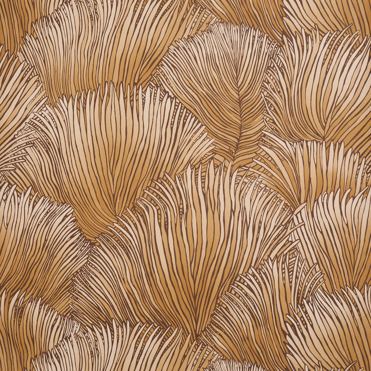 FONDALE-GOLD-SCHUMACHER-5012653