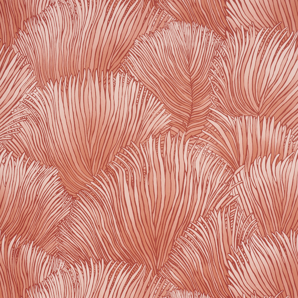 FONDALE-PINK-SCHUMACHER-5012654