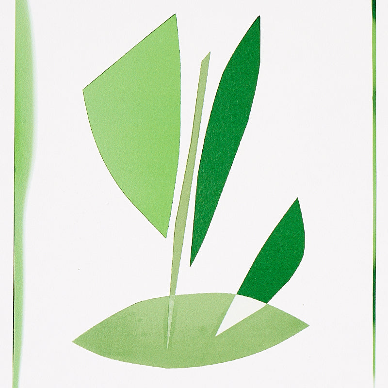 Botanicals Greenhouse wallpaper by Schumacher, 5012691 — view 4 - Schumacher Wallpaper
