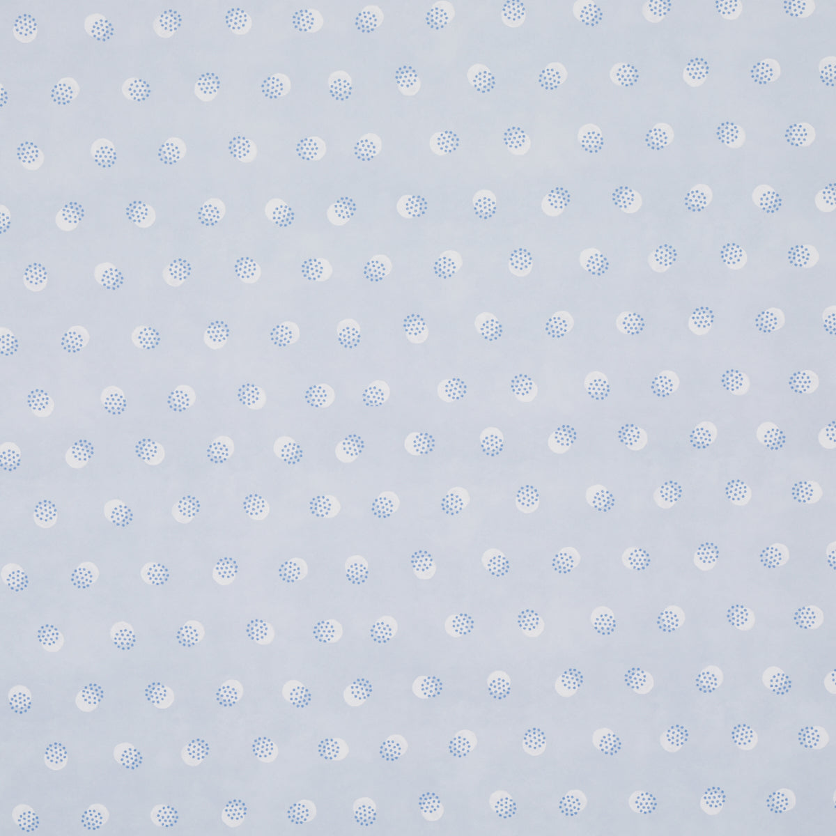 TAYLOR-BLUES-SCHUMACHER-5013080