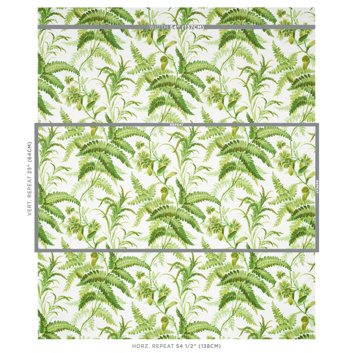 MYERS-FERN-TROPICAL-SCHUMACHER-5013231
