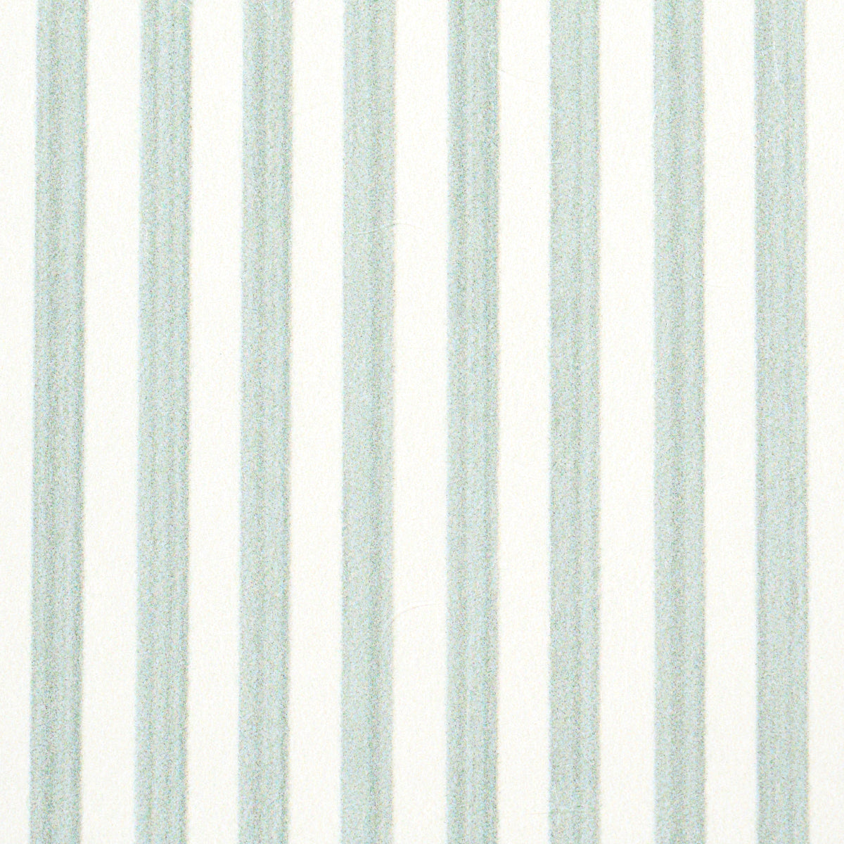 EDWIN-STRIPE-NARROW-EUCALYPTUS-SCHUMACHER-5013602