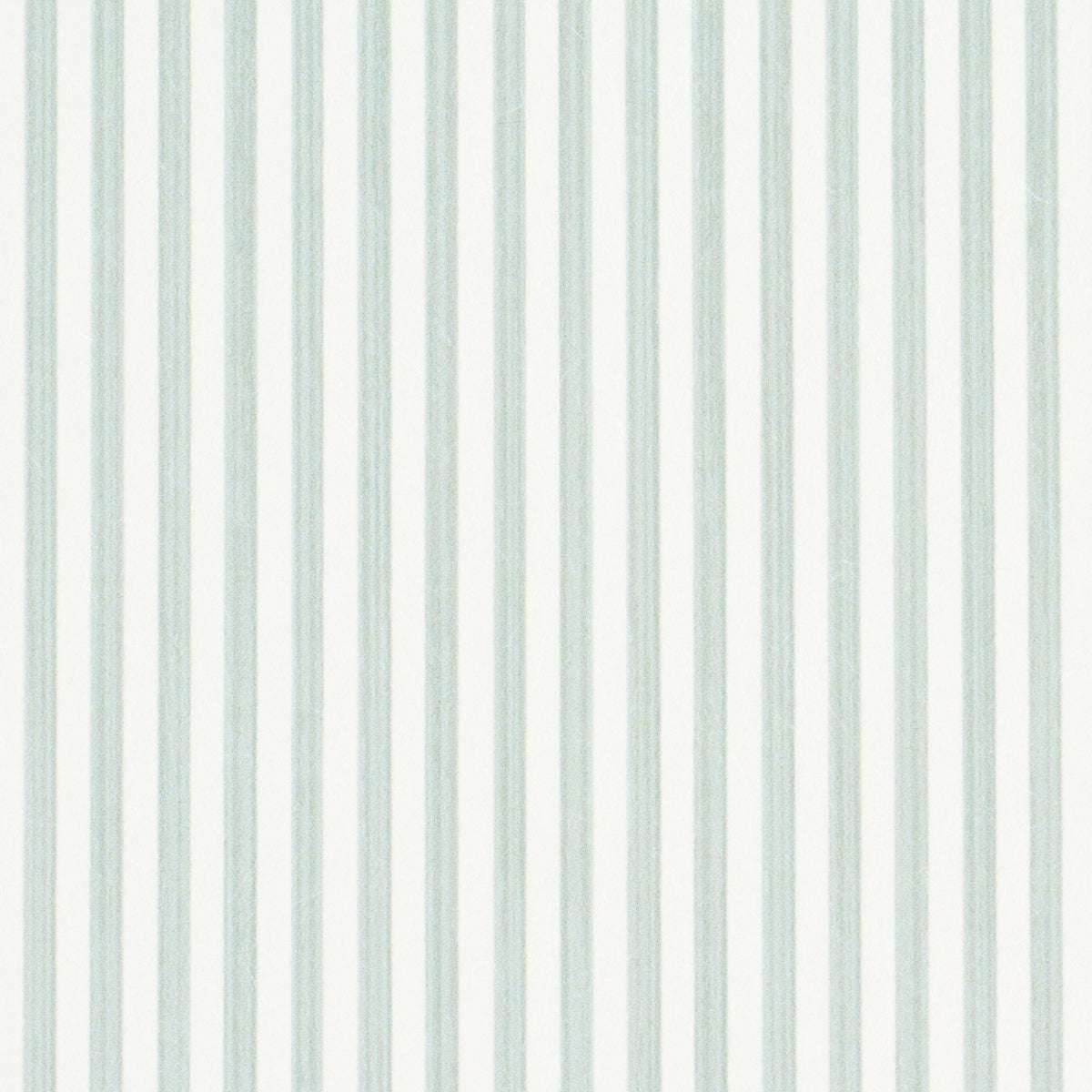 EDWIN-STRIPE-NARROW-EUCALYPTUS-SCHUMACHER-5013602
