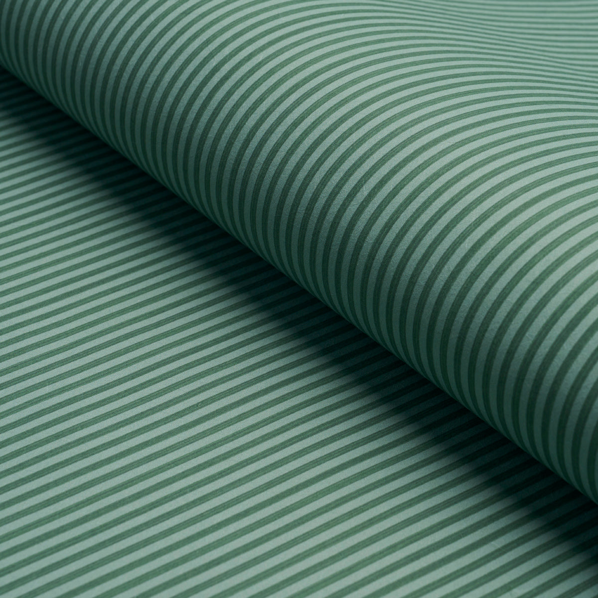 EDWIN-STRIPE-NARROW-DARK-GREEN-SCHUMACHER-5013603