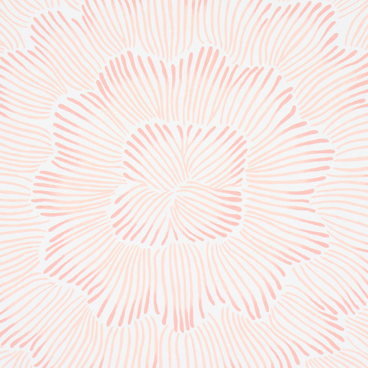 Feather Bloom - Salmon - Schumacher 5013823 Wallpaper - Schumacher Wallpaper
