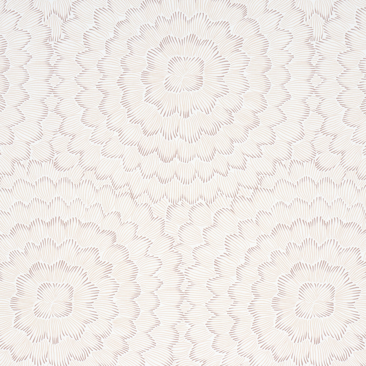 Feather Bloom - Chai - Schumacher 5013824 Wallpaper - Schumacher Wallpaper
