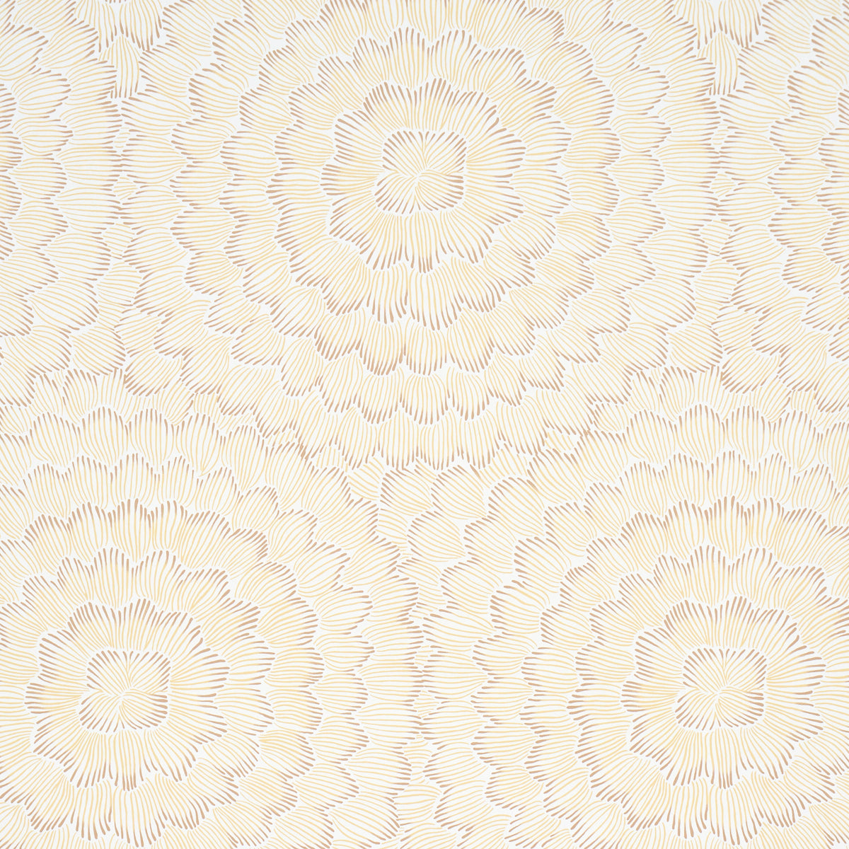 Feather Bloom - Mustard - Schumacher 5013825 Wallpaper - Schumacher Wallpaper