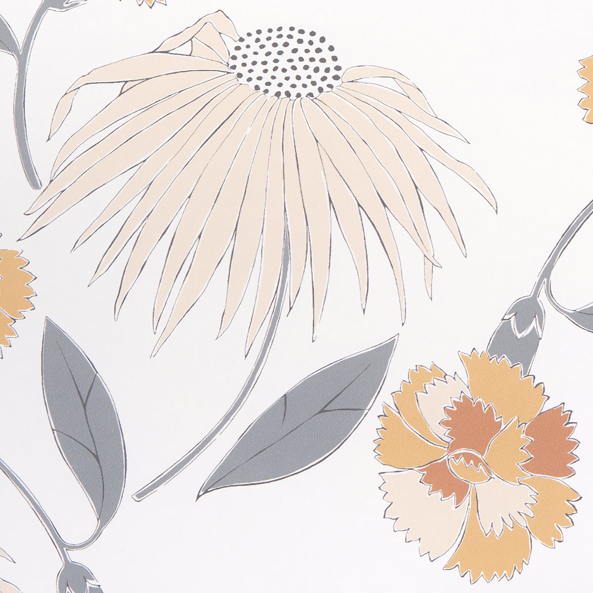 BOUQUET-TOSS-TOAST-SCHUMACHER-5013842