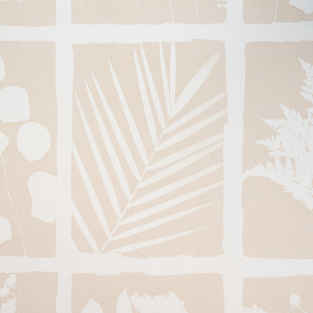 CYANOTYPE-PANEL-NATURAL-SCHUMACHER-5013971