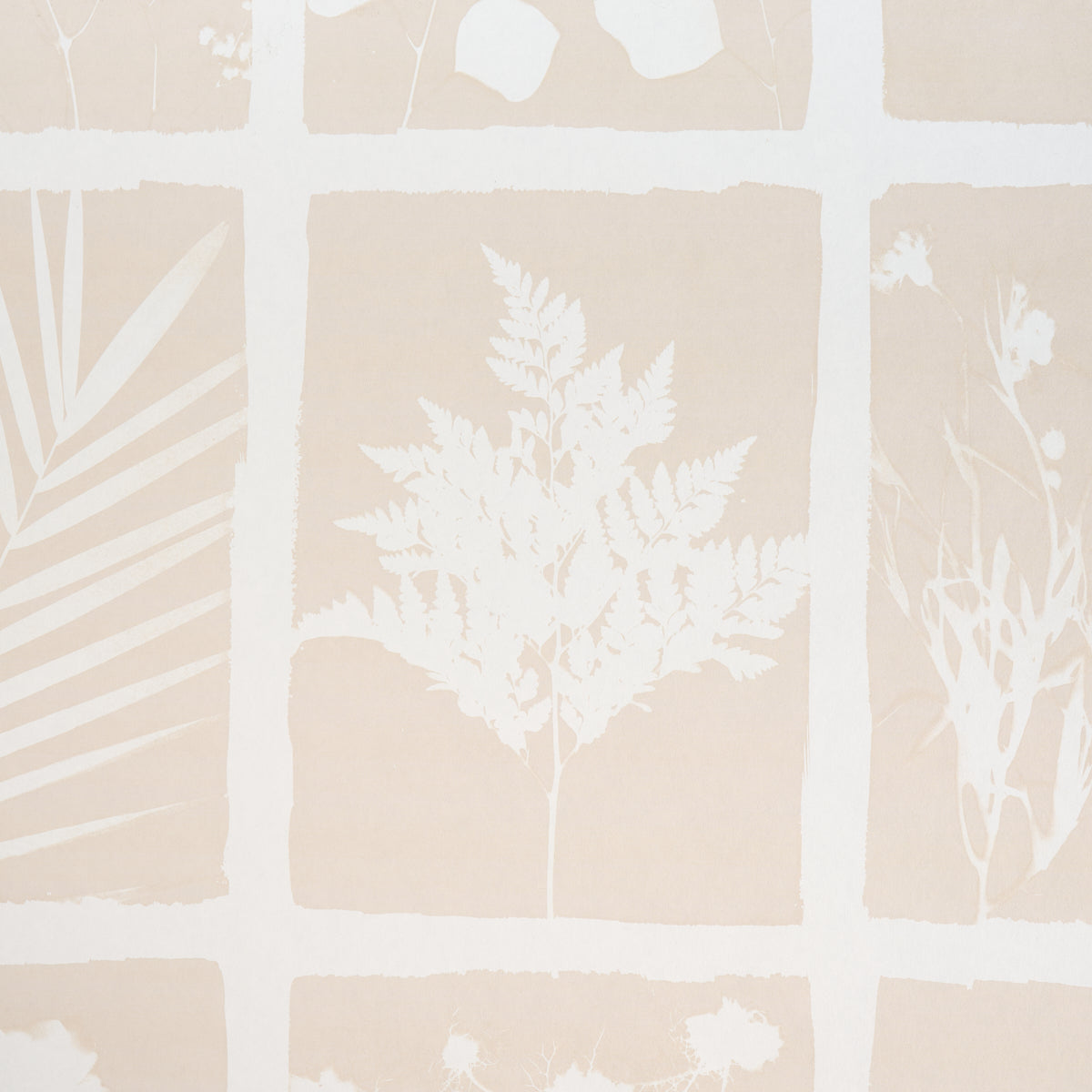 CYANOTYPE-PANEL-NATURAL-SCHUMACHER-5013971