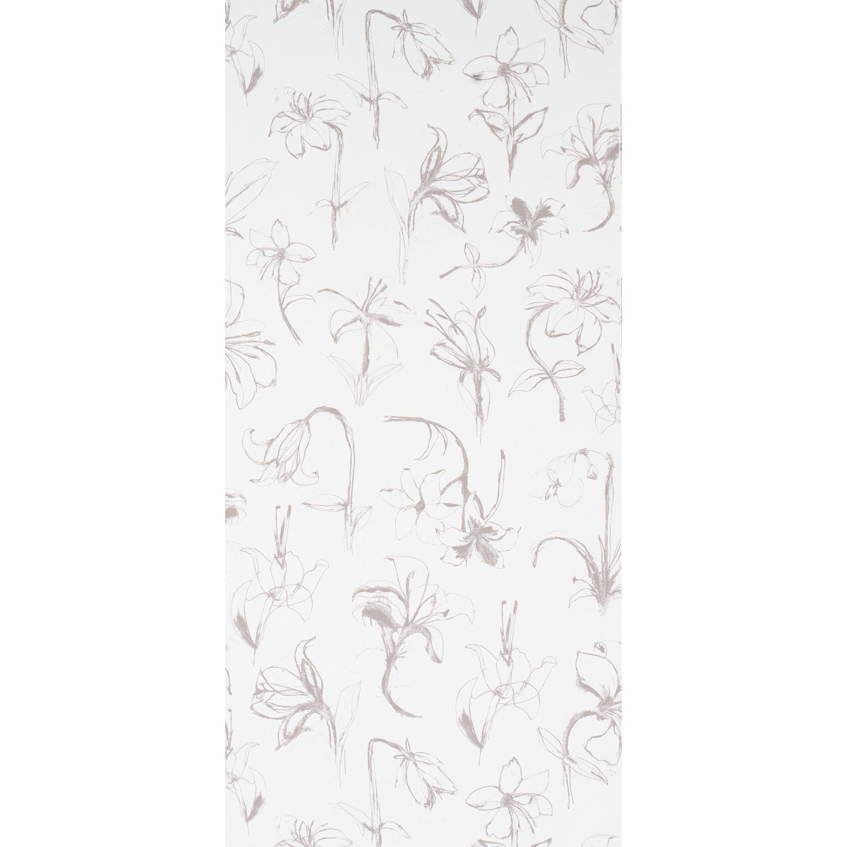 CLOSE-YOUR-EYES-AND-REMEMBER-SLATE-SCHUMACHER-5014082