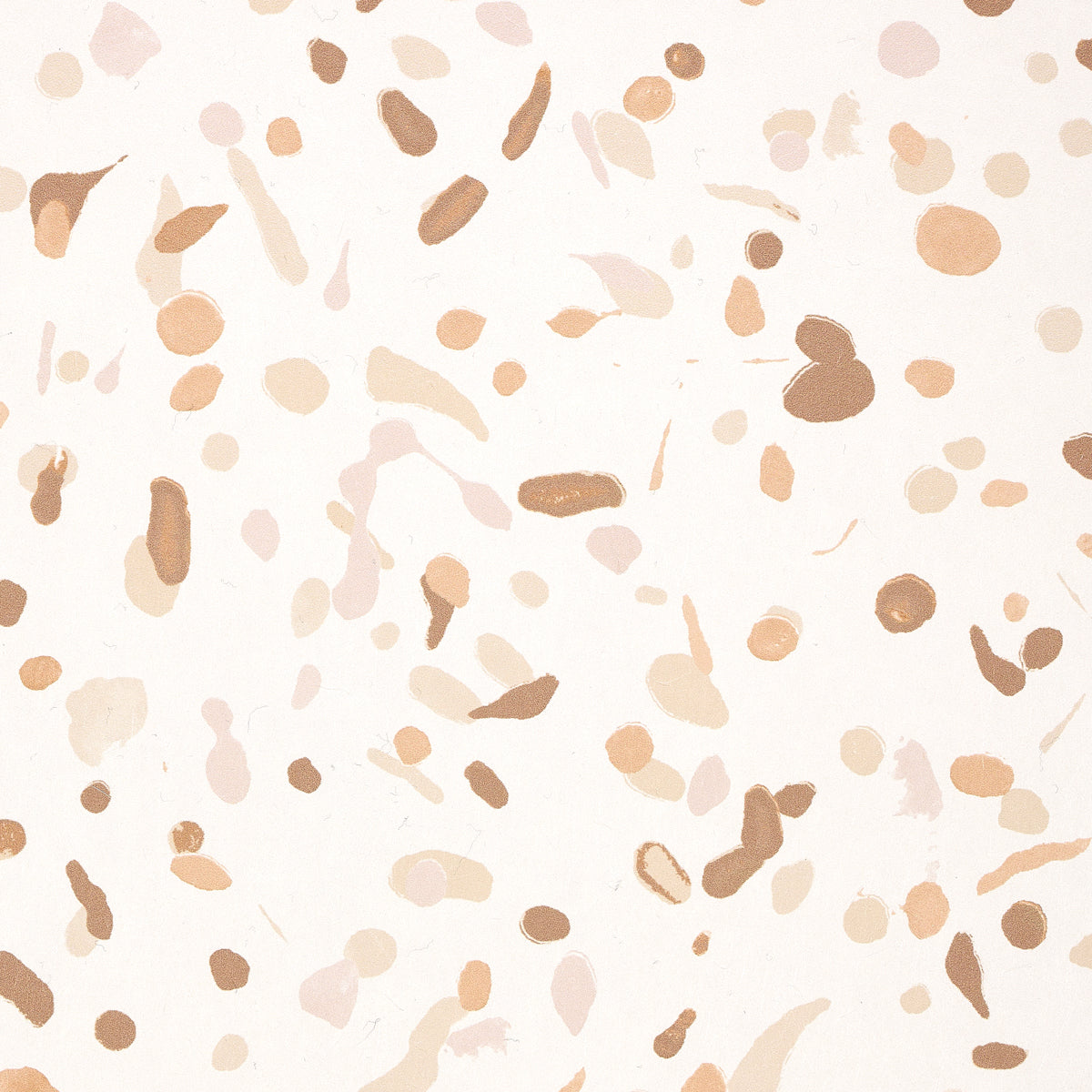 LOS-COSMOS-EARTH-SCHUMACHER-5014562