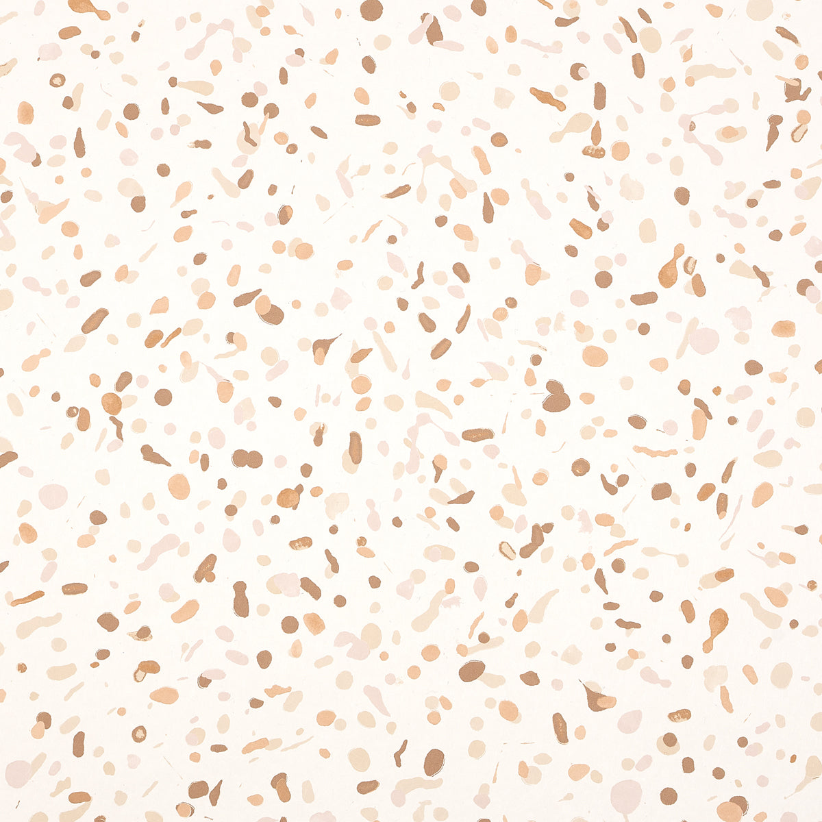 LOS-COSMOS-EARTH-SCHUMACHER-5014562