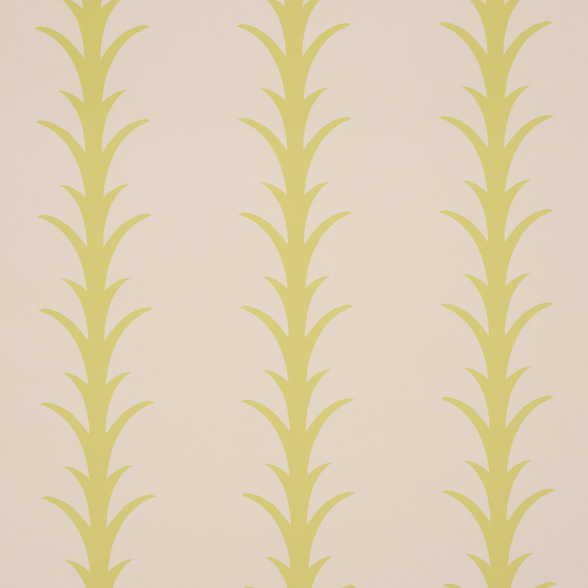 ACANTHUS-STRIPE-SOLEIL-ON-SAND-SCHUMACHER-5014775