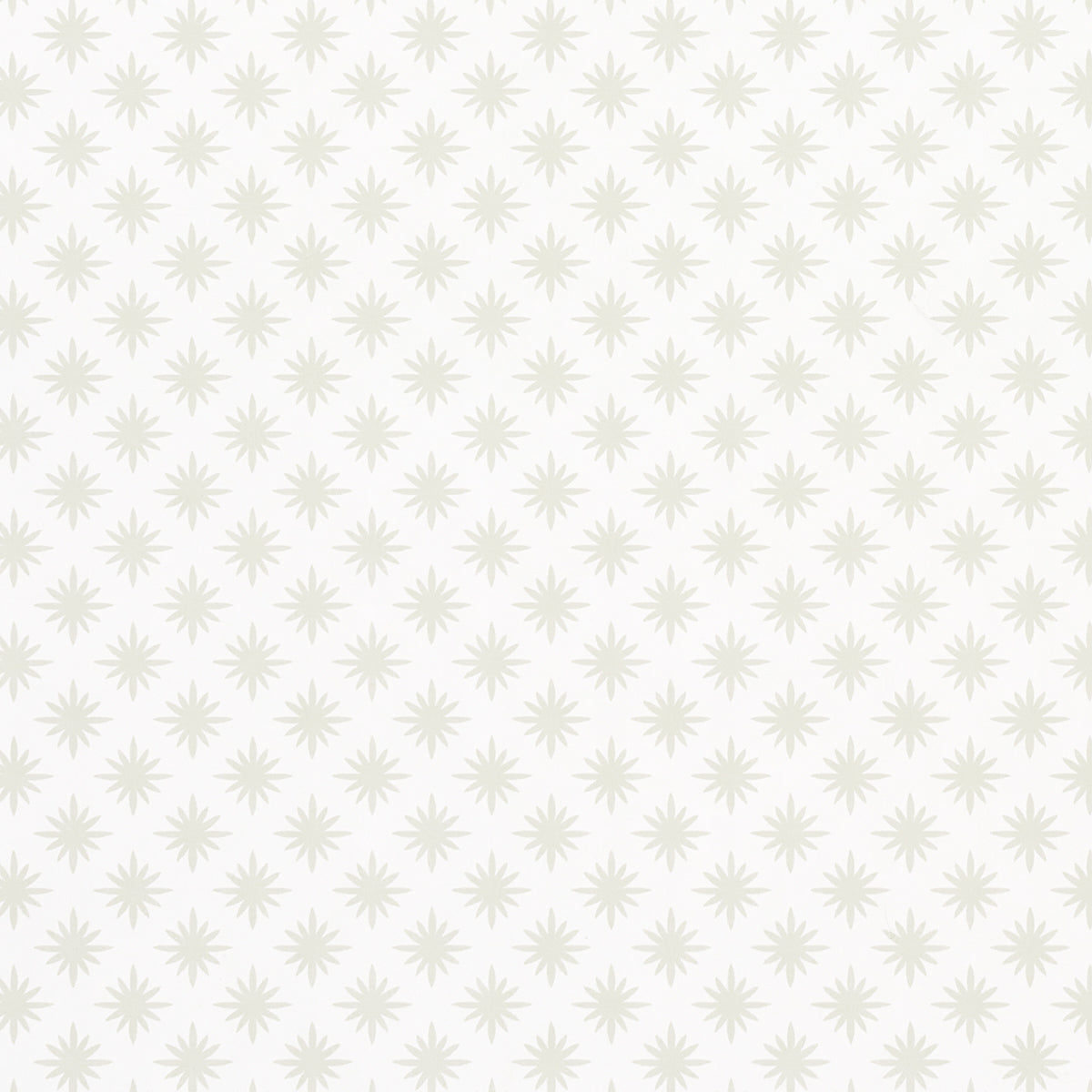 STAR-ANISE-MINK-SCHUMACHER-5014940