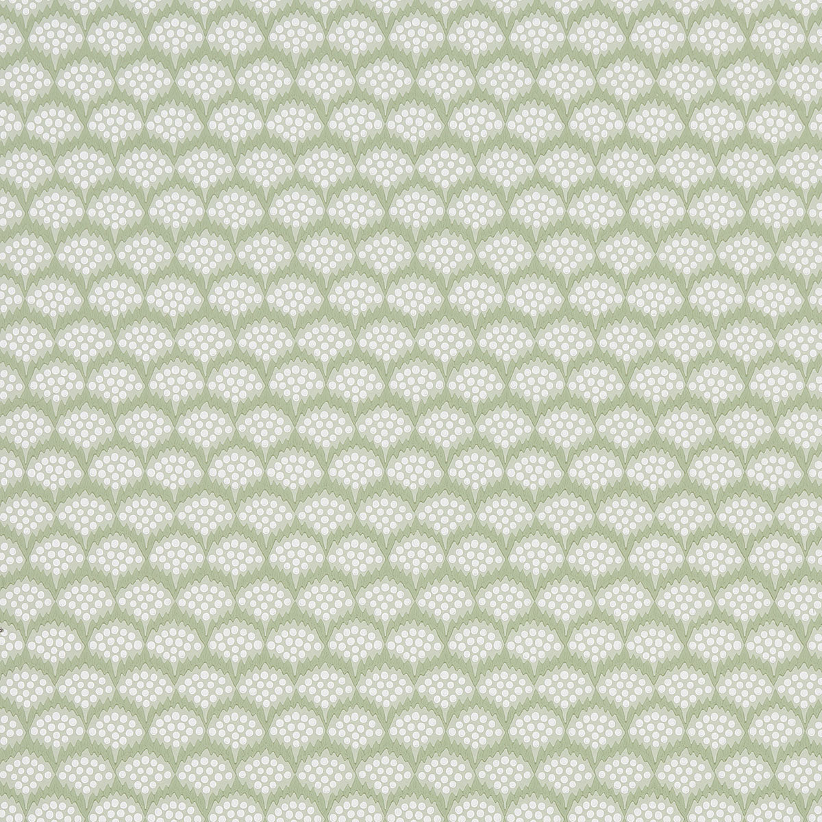 POLLEN-MOSS-SCHUMACHER-5014962
