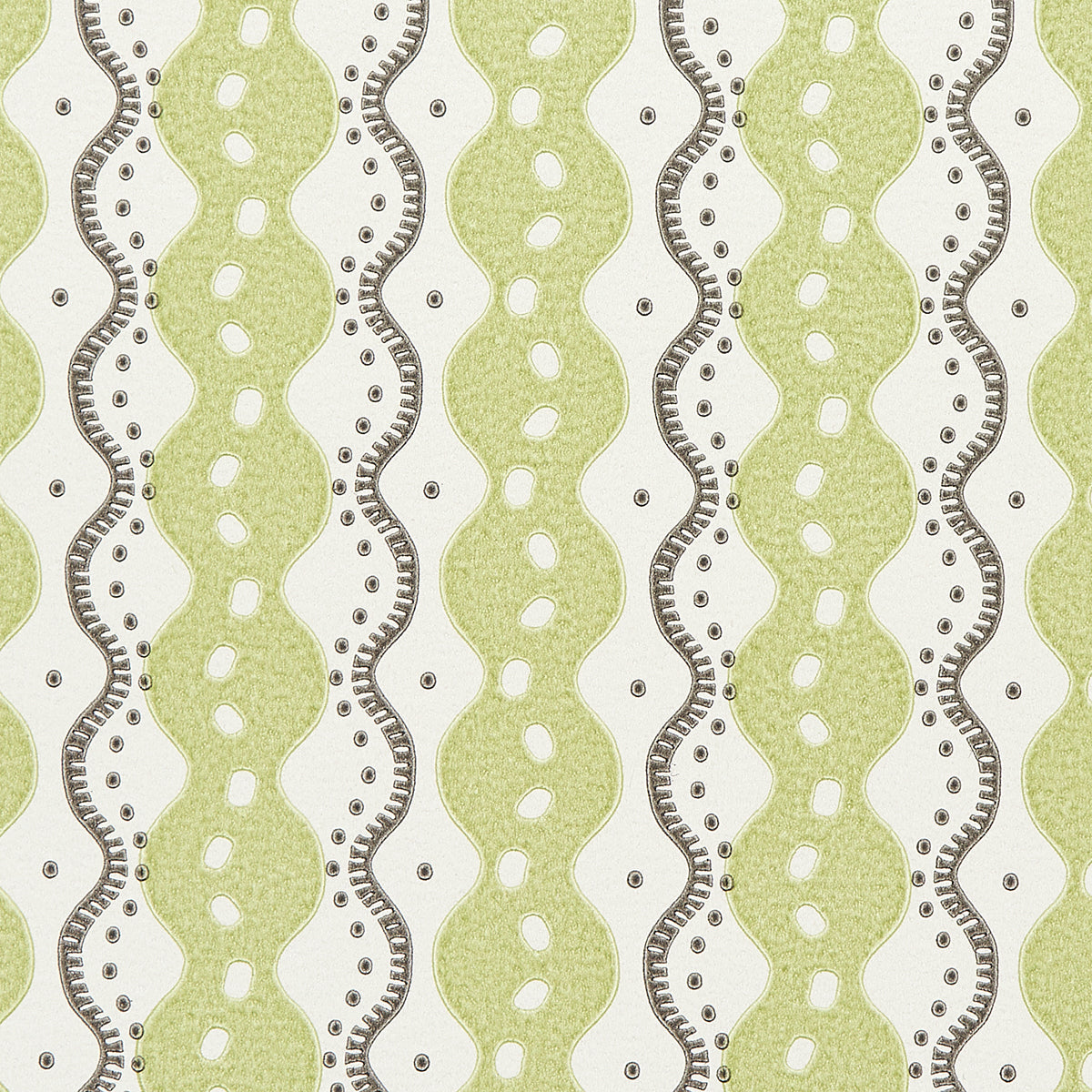 CENTIPEDE-STRIPE-PEA-SCHUMACHER-5015072