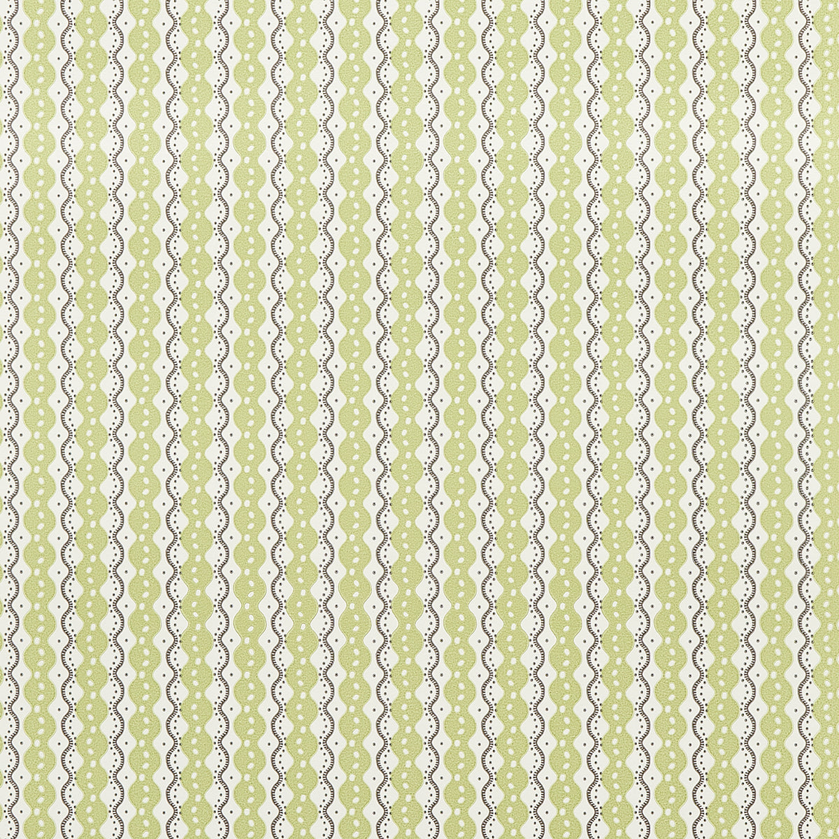 CENTIPEDE-STRIPE-PEA-SCHUMACHER-5015072