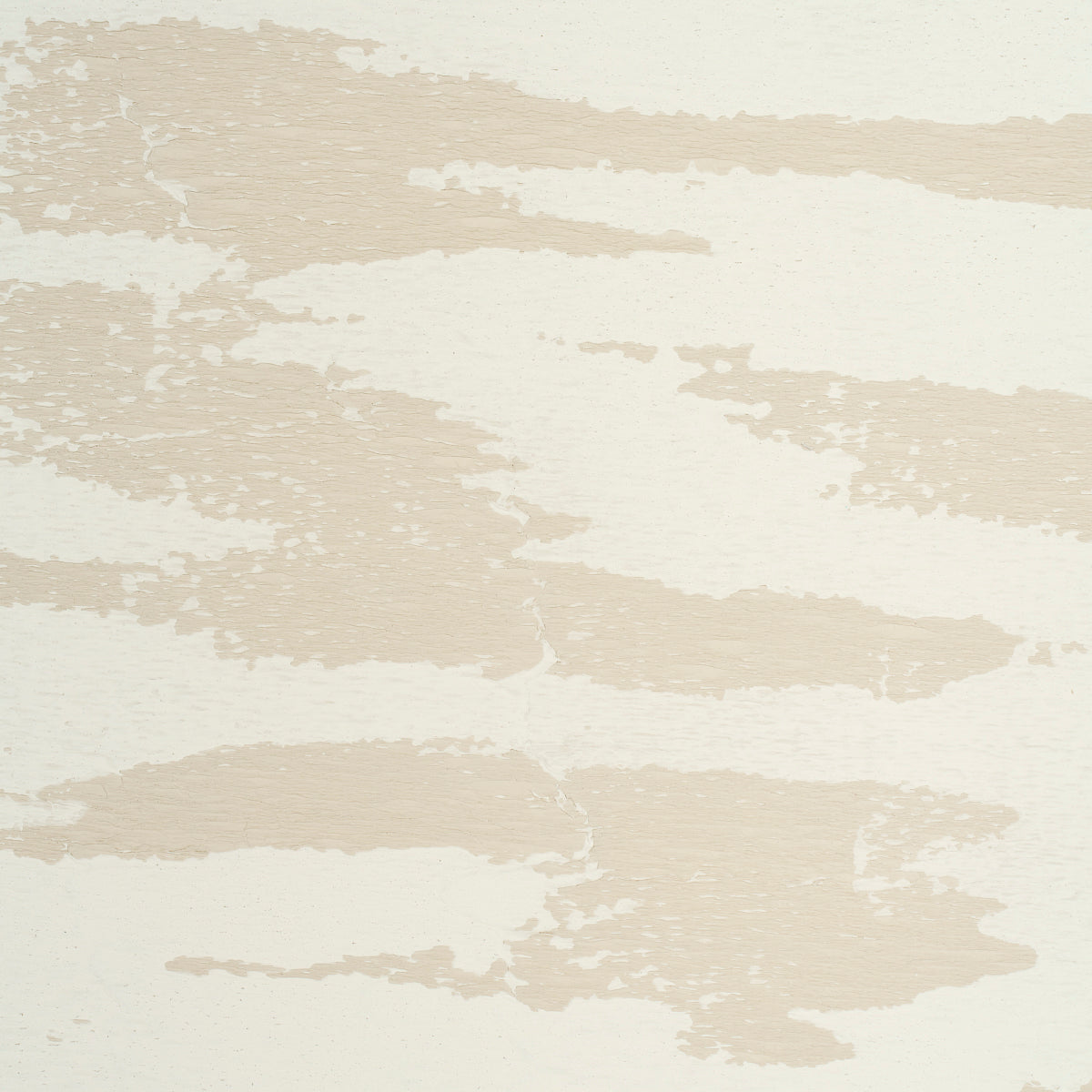 PLASTERED-MANUSCRIPT-ARCTIC-SCHUMACHER-5015331